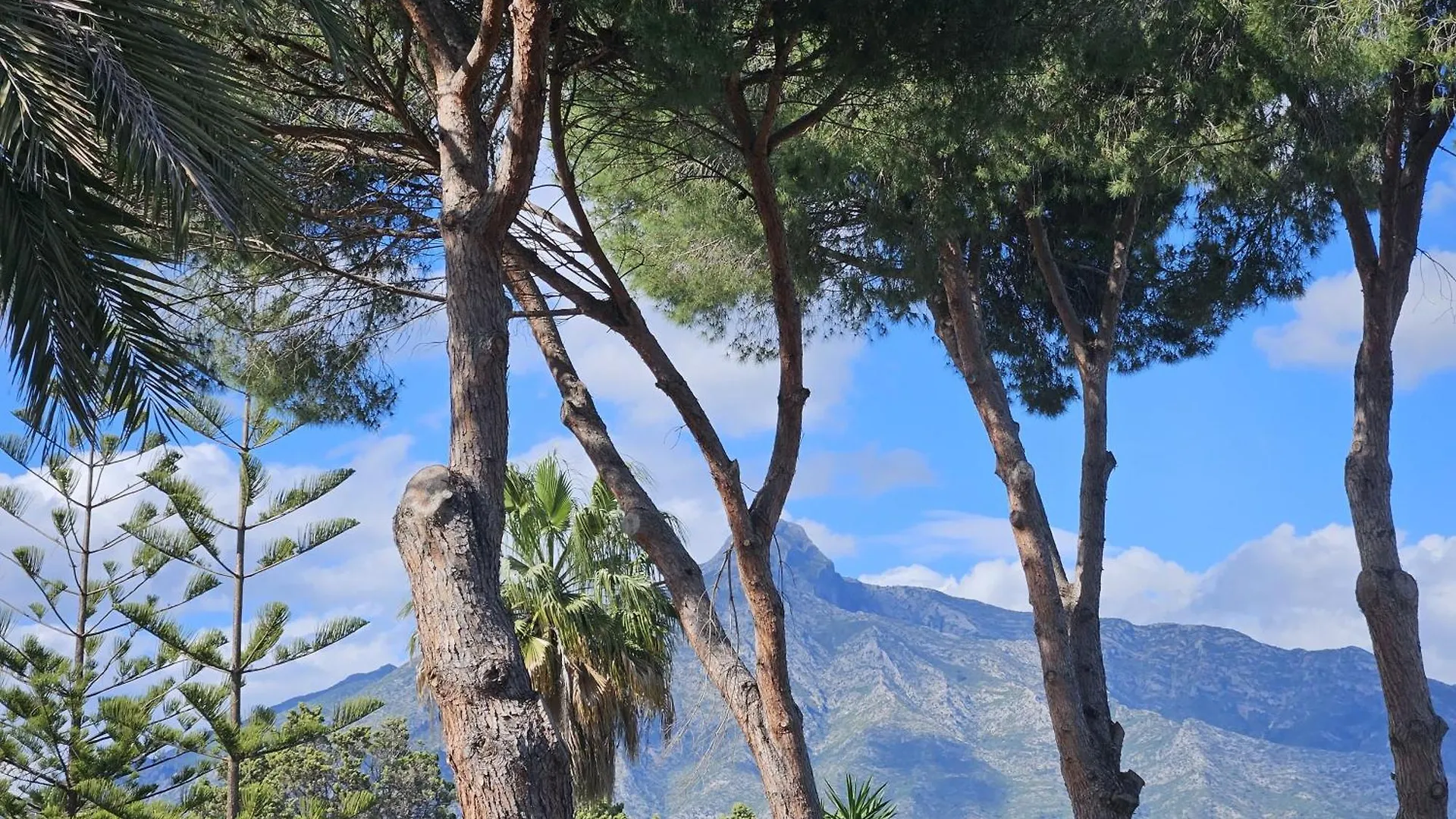 بيت ضيافة Palacio Suites ماربيا